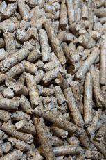 pellet 2