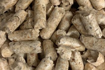 pellet 6